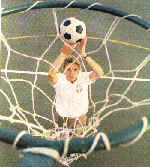 netball.gif (29867 bytes)